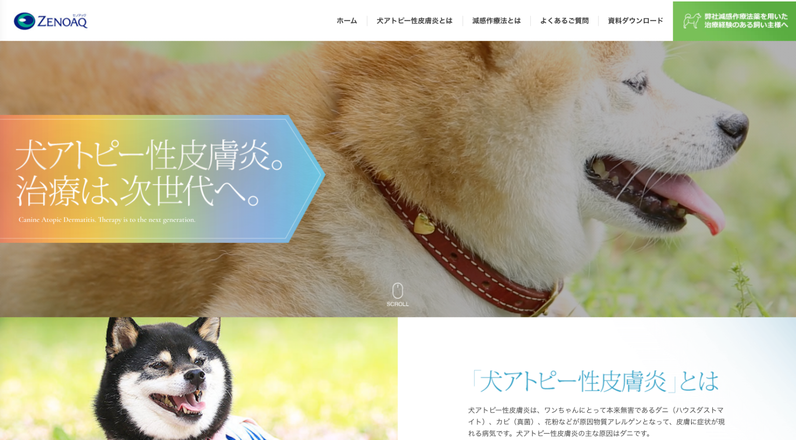 犬アトピー性皮膚炎減感作療法サイト