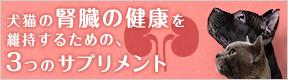 ベトキノール｜犬猫の腎臓の健康を維持するための3つのサプリメント