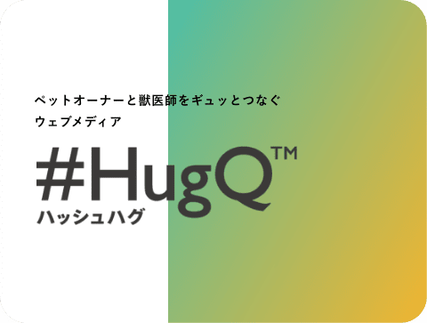 ハッシュハグ