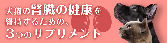 腎臓の健康を維持するためのサプリメントバナー