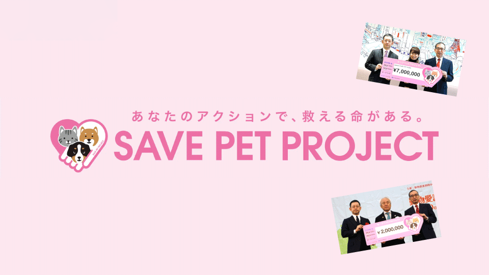 ZQStory_025_ORG=picture+.png