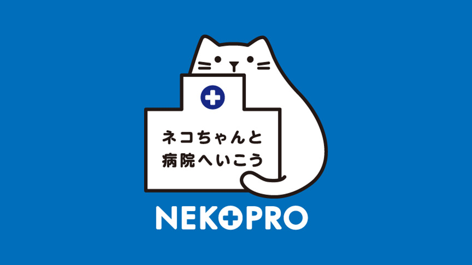 健康・医学 ayu.yu.ko 等張リンゲル糖-V注射液 | 製品情報 | ゼノアック［日本全薬工業］