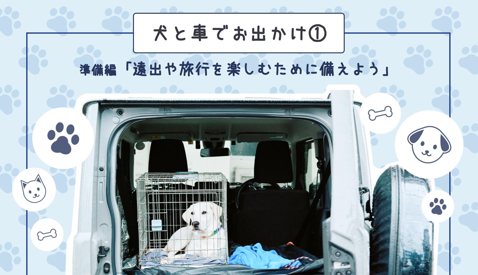 ZQStory_20250513_rec=picture.jpg