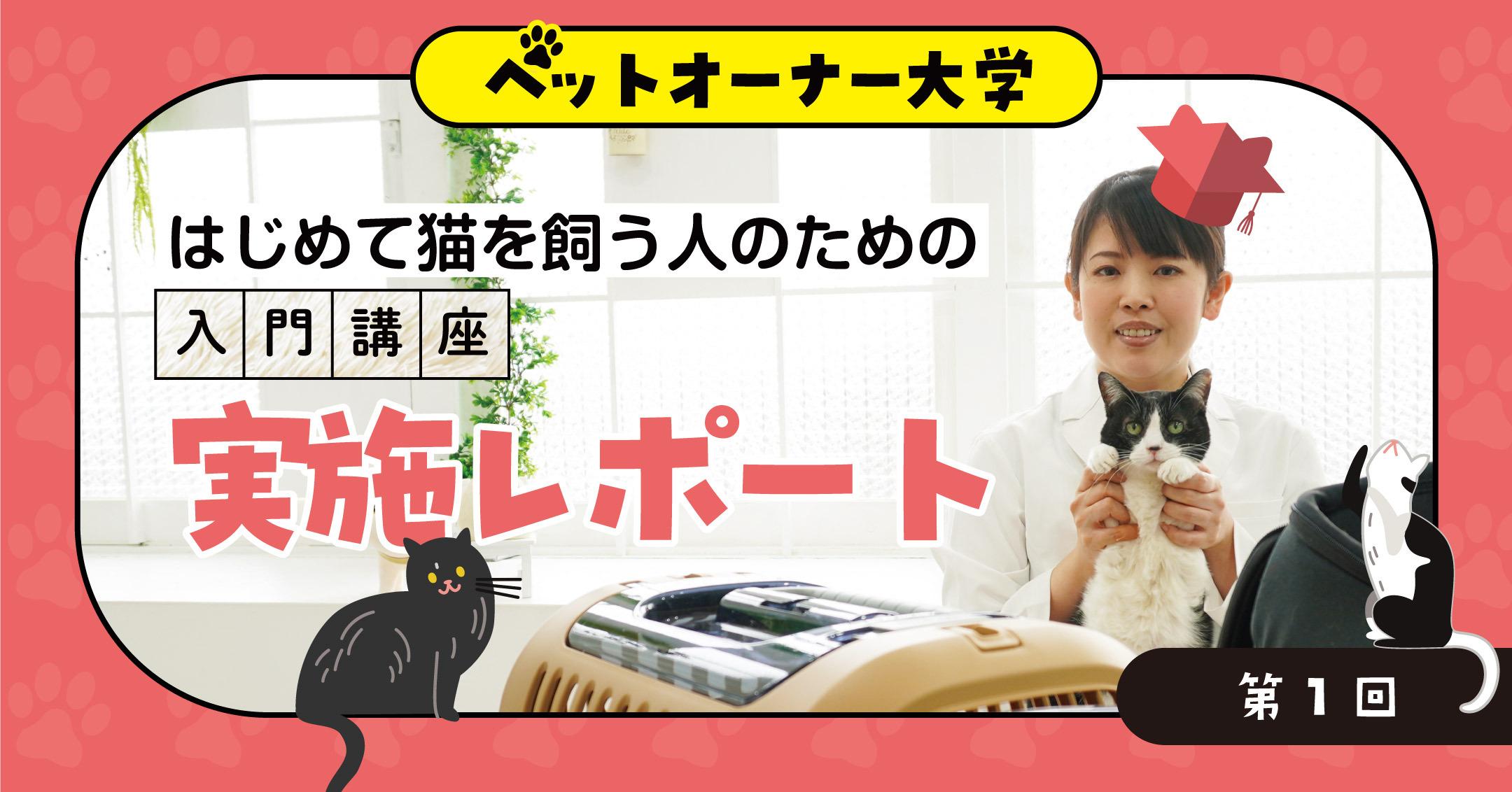 ZQStory_20250604_rec=picture.jpg