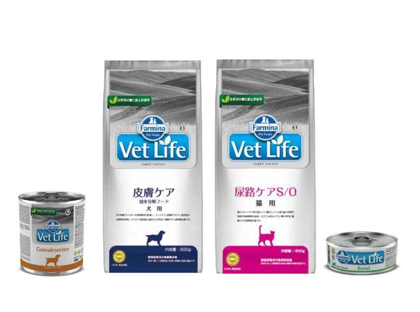 Vet Lifeベットライフ猫用療法食  消化器ケア　60缶