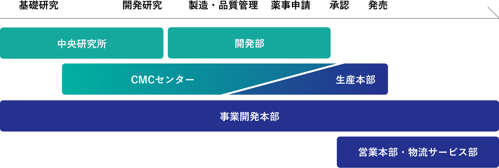 研究開発体制